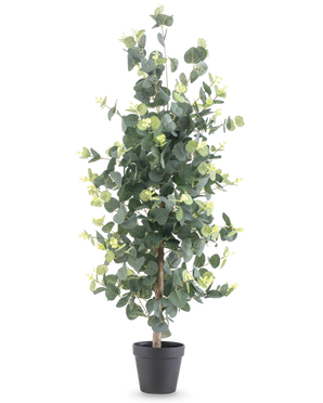 De Kunstplant Eucalyptus 91 cm heeft hoge, realistische ronde groene bladeren en kleine gele knoppen in een zwarte pot, tegen een effen witte achtergrond.