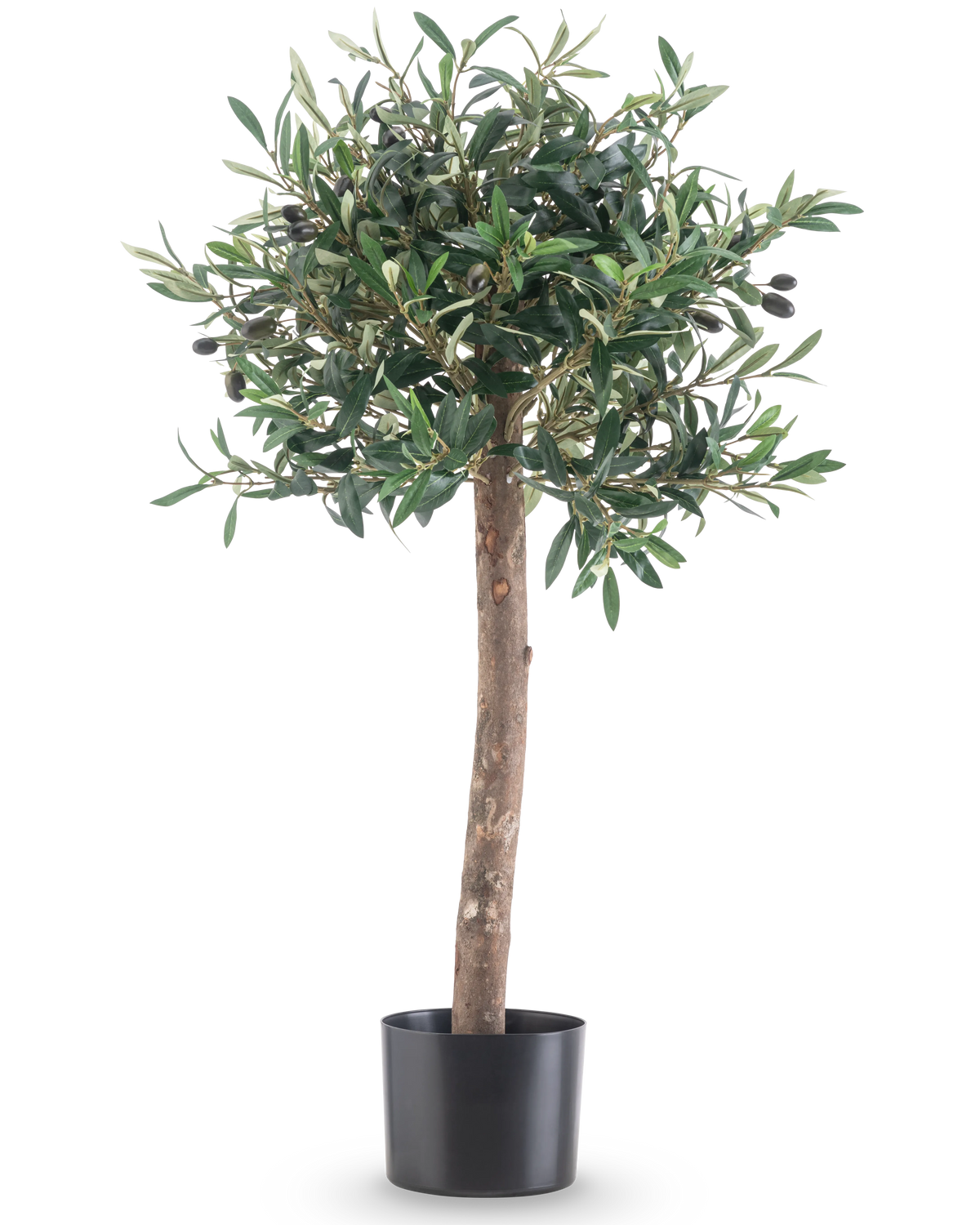 L'Olivier artificiel UV 85 cm possède un tronc droit, des feuilles vertes denses et de petites olives noires. Cette plante artificielle facile d'entretien dans un pot noir reste toujours belle et est parfaite pour l'intérieur ou l'extérieur grâce à sa résistance aux UV.