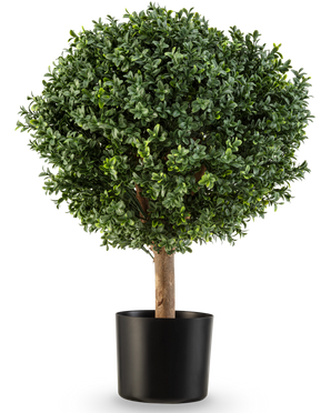 Le Buis Artificiel sur Tige Style Romain UV 65 cm a une forme ronde et verte luxuriante avec un feuillage dense dans un simple pot noir, parfait pour ajouter de l'élégance sur un fond blanc.