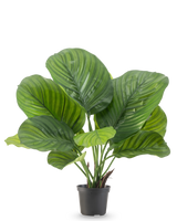 La plante artificielle Calathea 46 cm est une plante en pot avec de grandes feuilles vertes larges qui présentent de frappantes rayures vert clair et vert foncé, représentées sur un fond blanc uni.