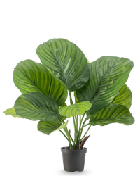 Plante artificielle Calathea 46 cm