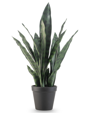De Kunstplant Sansevieria Zeylanica 44 cm heeft lange, rechtopstaande groene bladeren met bonte patronen, gepresenteerd in een eenvoudige zwarte pot tegen een effen witte achtergrond.
