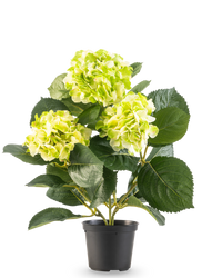 Hortensia artificiel vert 35 cm