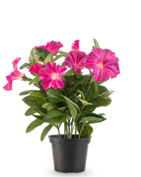 Pétunia artificiel 25 cm rose foncé