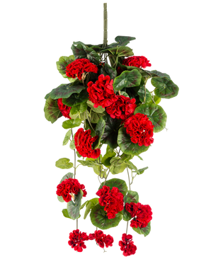 De Kunst hangplant Geranium 75 cm rood heeft levendige rode kunstgeraniumbloemen met weelderige groene bladeren die elegant naar beneden vallen.