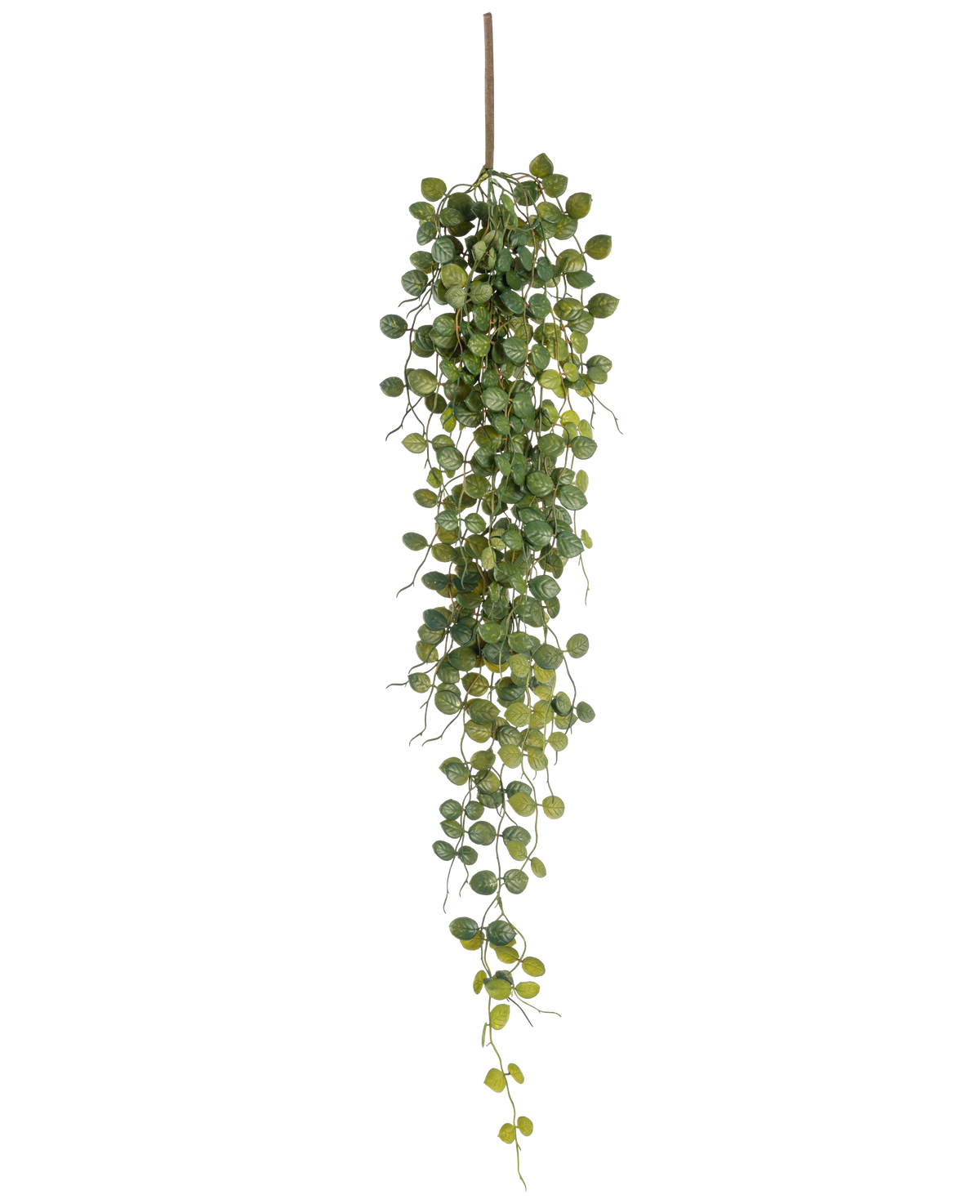 La plante artificielle suspendue Pumila 96 cm a de petites feuilles vertes rondes qui pendent à une tige brune, créant un effet de traînée réaliste. Présentée sur un fond blanc, cette plante artificielle ajoute de la verdure sans entretien.