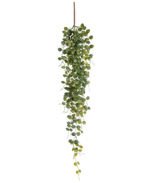 De Kunst hangplant Pumila 96 cm heeft kleine ronde groene blaadjes die aan één bruine stengel hangen, waardoor een levensecht trailing effect ontstaat. Afgebeeld tegen een witte achtergrond voegt deze kunstplant groen toe zonder onderhoud.