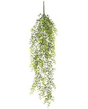 De Kunst hangplant Buxus 80 cm is een kunst hangplant met lange, slingerende groene ranken en kleine ronde blaadjes tegen een witte achtergrond.