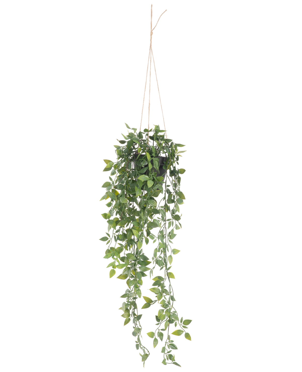 La plante artificielle suspendue Scindapsus en pot de 73 cm a des feuilles vertes luxuriantes et de longues vrilles enroulées, suspendues à une fine corde sur un fond blanc uni.