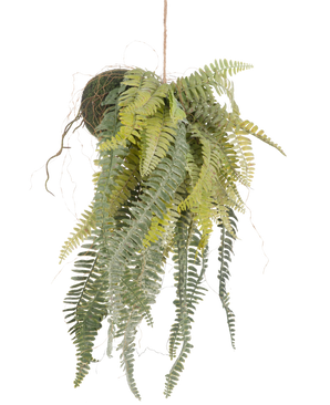 De Kunst hangplant Frosted Varen op bal 97 cm heeft sierlijke, lange groene bladeren die uit een met mos bedekte bol aan een dun touw hangen. Een stijlvolle, onderhoudsvrije kamerplant die perfect past in elk interieur.