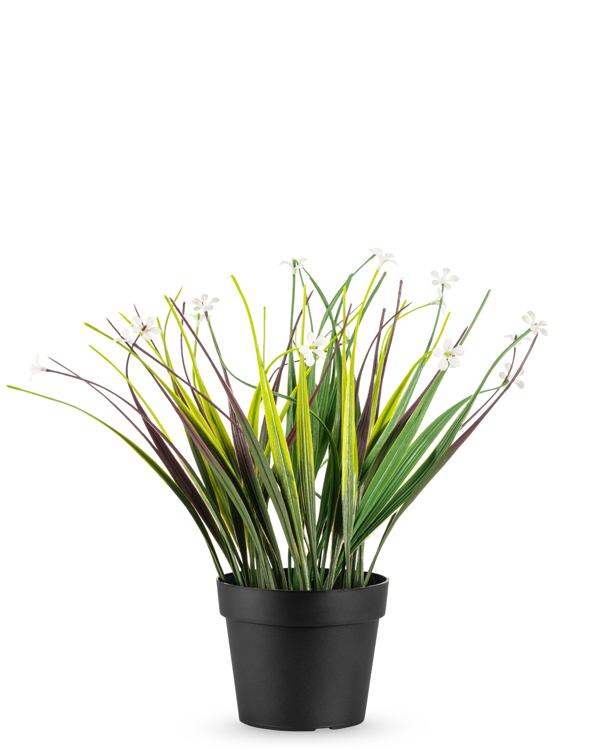 Le gazon artificiel en pot UV 26 cm possède de longues feuilles vertes et violettes avec de petites fleurs blanches, disposées dans un simple pot noir et disposées sur un fond blanc.