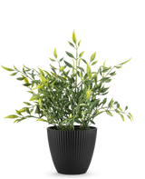 Een Kunstplant Bamboe 28 cm, een bladgroene potplant met lange, slanke bladeren, sommige met een gele punt, groeit in een verticaal geribbelde zwarte pot tegen een effen witte achtergrond.