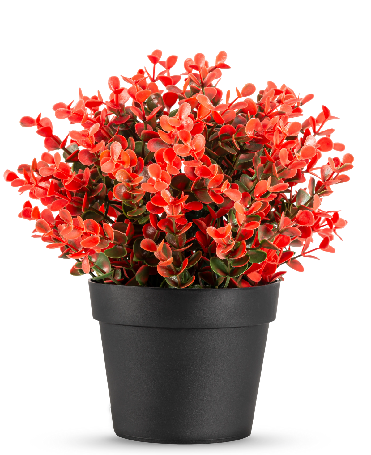 La Plante Artificielle Buxus rouge en pot UV 19 cm est un pot de fleur noir compact avec un mélange luxuriant de feuilles artificielles rouges et vertes sur un fond blanc uni.