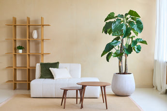 Een moderne woonkamer met een witte bank, groene en beige kussens, twee ronde houten salontafels, een Kunstplant Alocasia 180 cm en een houten stellingkast met een minimaal decor tegen een beige muur.