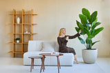 Een vrouw in een bruine jurk zit op een witte bank, glimlacht en houdt een drankje vast terwijl ze de Kunstplant Strelitzia Real Touch Deluxe 180 cm aanraakt in een moderne, minimalistische woonkamer met houten planken en een salontafel.