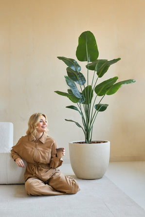 Une femme en combinaison marron est assise souriante sur le sol avec une tasse de café à côté d'elle, à côté de la plante artificielle Strelitzia 180 cm real touch dans une pièce minimaliste aux murs beiges.