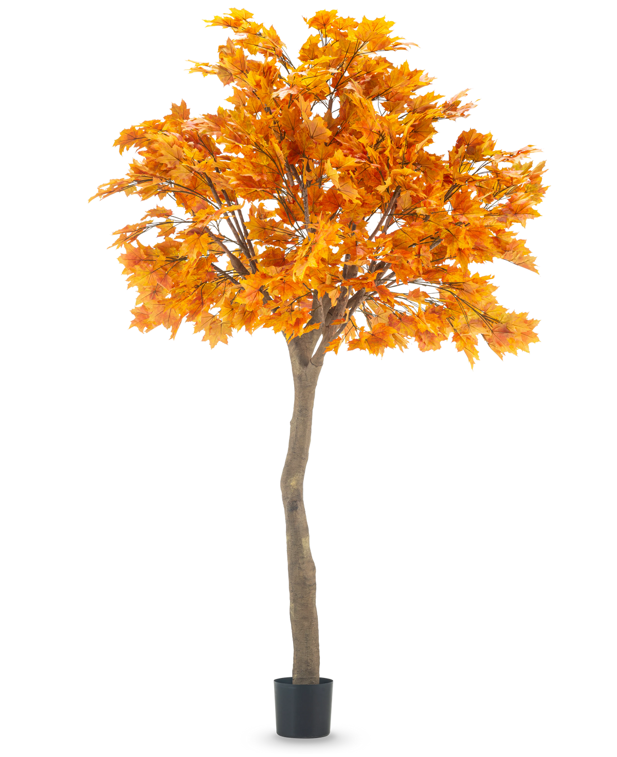 L'érable artificiel 280 cm est un grand érable artificiel avec des feuilles d'automne orange vif dans un pot noir, isolé sur fond blanc.