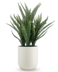 Fougère de Boston artificielle 82 cm