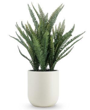 De Kunstplant Bostonvaren 82 cm heeft lange, smalle groene bladeren en wordt geleverd in een eenvoudige ronde witte pot, tegen een effen witte achtergrond.
