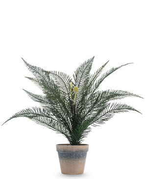 Kunstplant Phoenixvarenblad 39 cm in een eenvoudige, verweerde terracotta pot met weelderige, vederlichte groene bladeren tegen een effen witte achtergrond.