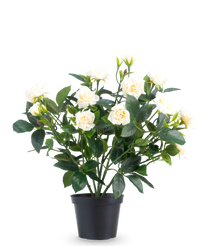 Rosier artificiel mini 35 cm crème UV