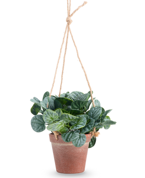 De Kunstplant Rugose blad 18 cm groen heeft ronde groene bladeren in een terra-cotta hangpot, opgehangen aan tan touw, tegen een effen witte achtergrond.