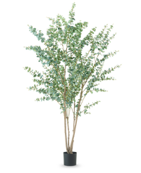 Plante artificielle Eucalyptus 240 cm