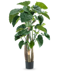 Plante artificielle Alocasia 180 cm