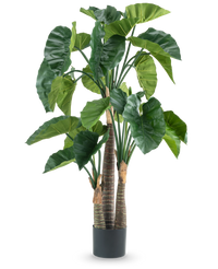 Plante artificielle Alocasia 150 cm