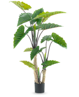 De Kunstplant Calocasia 180 cm is een kunstplant in pot met grote groene pijlvormige bladeren en meerdere stengels, afgebeeld tegen een effen witte achtergrond.