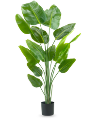 Plante artificielle Strelitzia 180 cm real touch