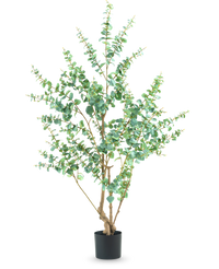 Plante artificielle Eucalyptus 180 cm