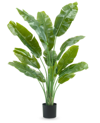 Plante artificielle Strelitzia Nicolai Deluxe 170 cm