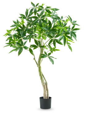 De Kunstplant Pachira 150 cm is een hoge kamerplant in pot met meerdere slanke stammen en trossen brede, glanzend groene bladeren tegen een effen witte achtergrond.