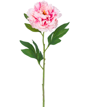Een enkele Kunstbloem Pioen 77 cm lichtroze met weelderig groene bladeren tegen een effen witte achtergrond.