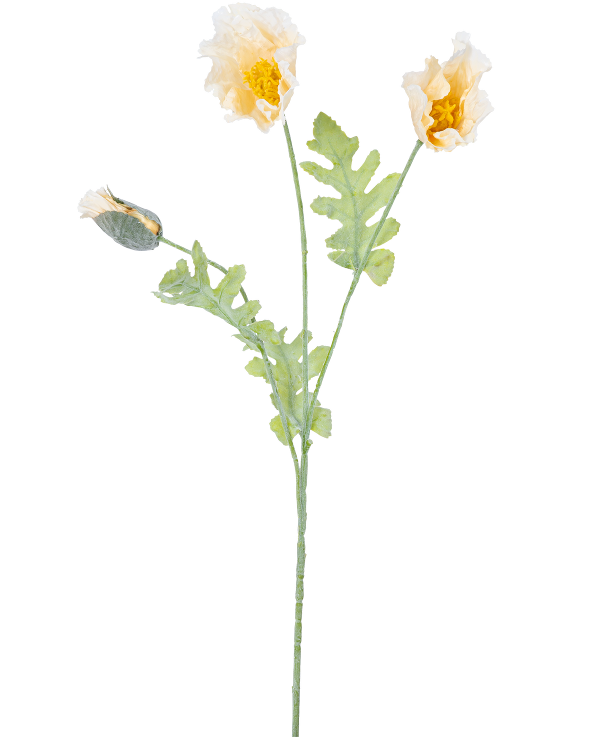 Une délicate illustration botanique de la fleur artificielle de pavot de 73 cm crème, avec deux fleurs jaunes ouvertes et un bourgeon fermé sur des tiges vertes aux feuilles dentelées, sur un fond blanc.
