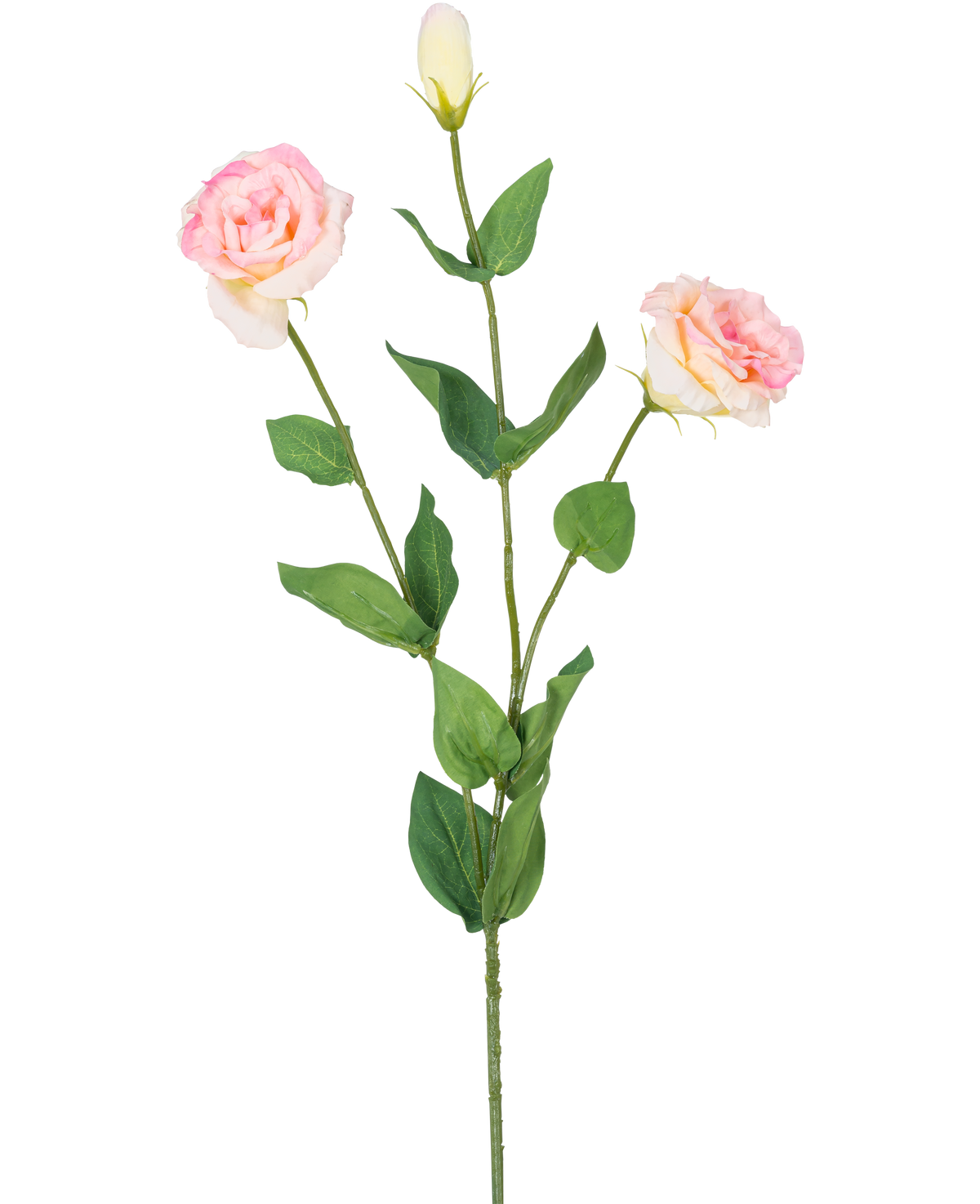 L'Eustoma Artificiel Real Touch Rose Clair 72 cm a une seule tige verte avec deux fleurs rose clair épanouies et un bourgeon fermé, entouré de feuilles vertes, sur un fond blanc uni.