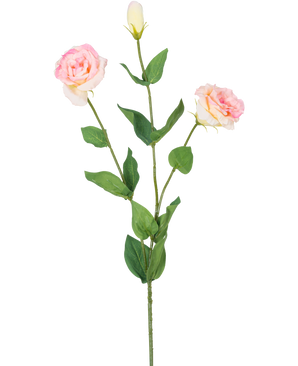 De Kunst Eustoma Real Touch Lichtroze 72cm heeft een enkele groene steel met twee bloeiende lichtroze bloemen en een gesloten knop, omringd door groene bladeren, tegen een effen witte achtergrond.