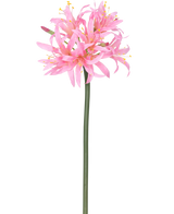 De Kunstbloem Nerine 70 cm roze heeft een hoge groene steel met daarop een tros tere, spinroze bloemen met lange bloemblaadjes en gele meeldraden, tegen een effen witte achtergrond.