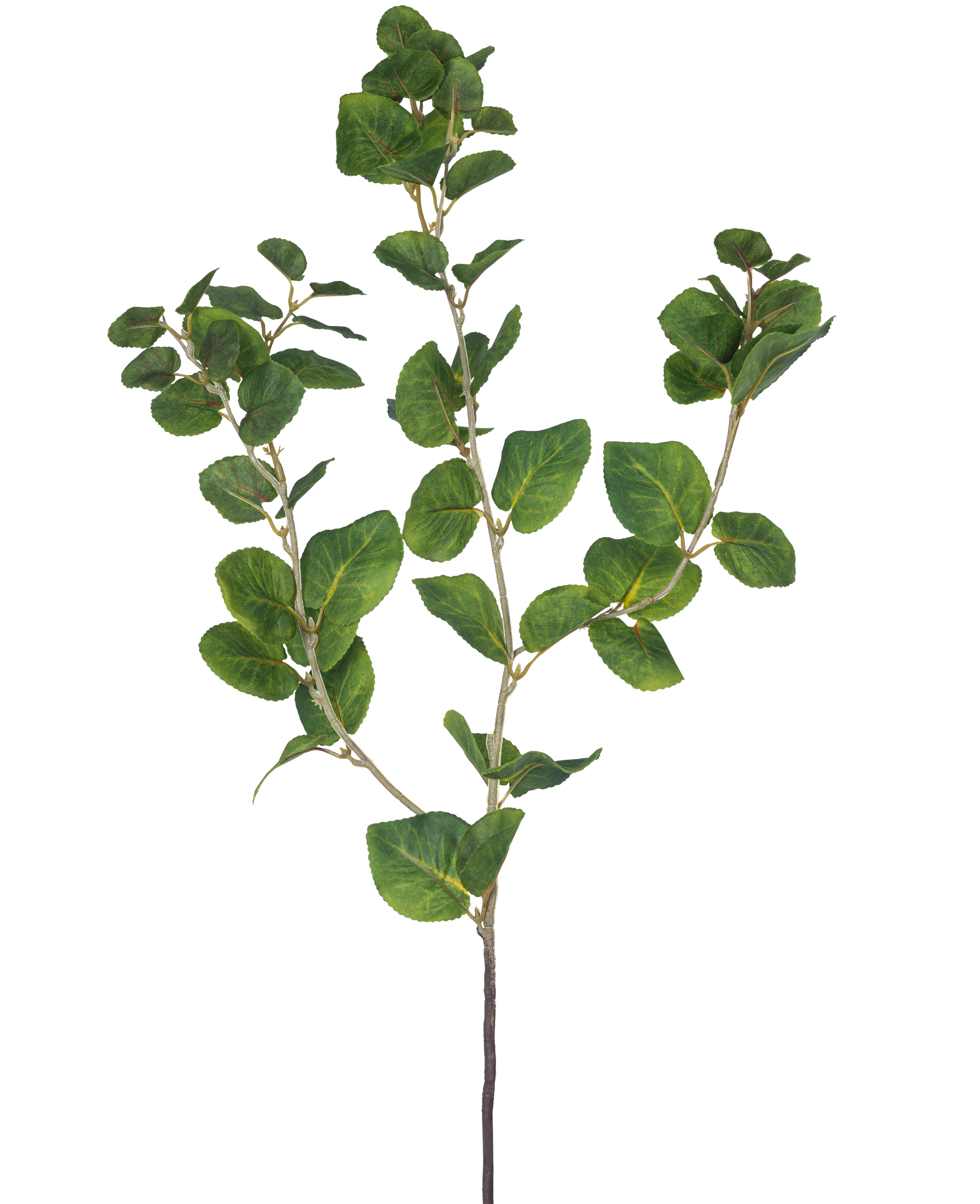 6 Branches D’eucalyptus Artificiel Automnal – Déco Réaliste Pour Vase Ou Couronne – Sans Entretien, Couleur Orange/jaune