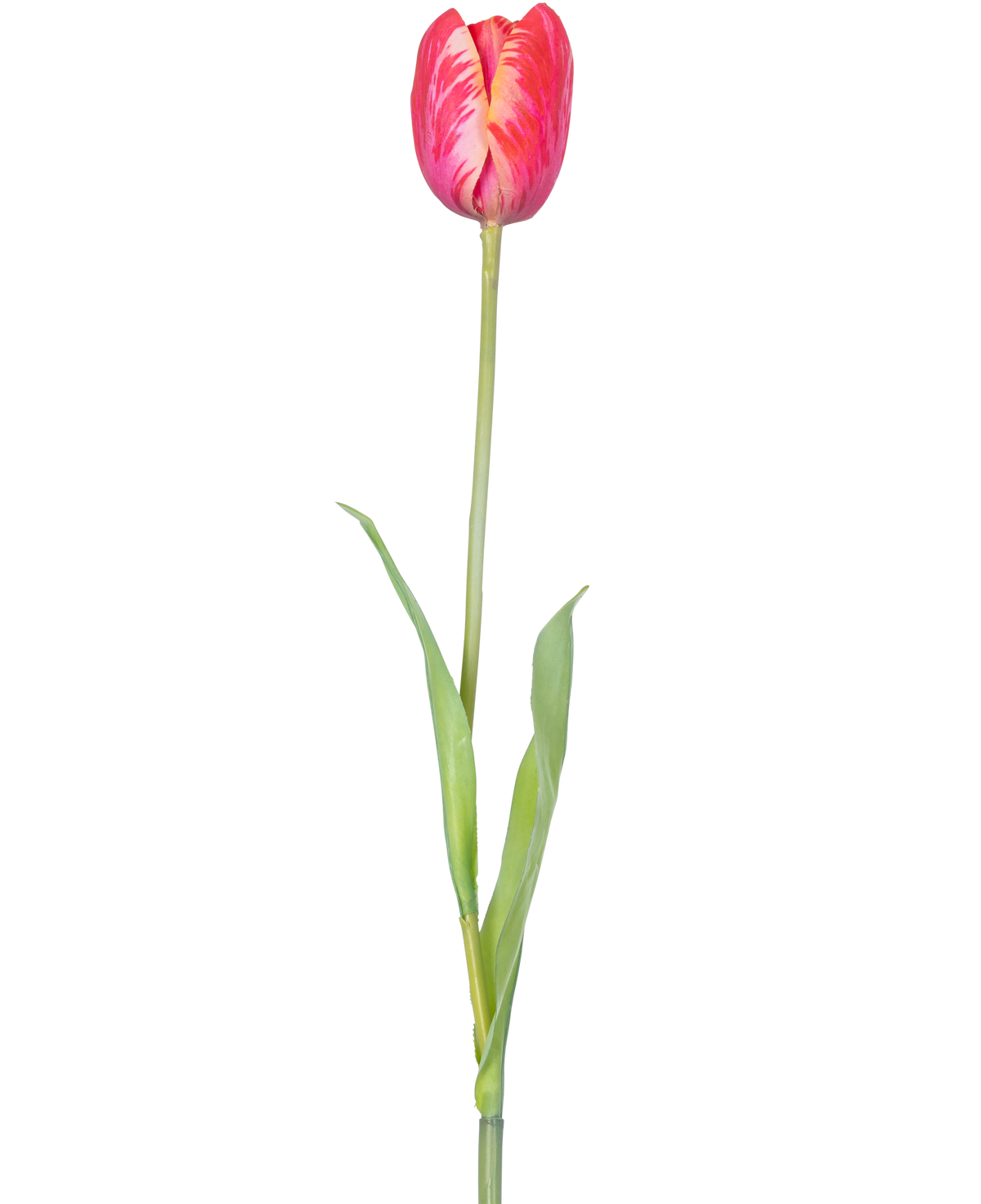 Une seule fleur artificielle de tulipe française de 60 cm rouge avec des pétales rouges vifs et des feuilles vertes sur une tige, sur un fond blanc.