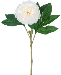 Pivoine artificielle Real Touch White 58cm