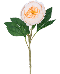 Pivoine artificielle Real Touch Cream White 58cm