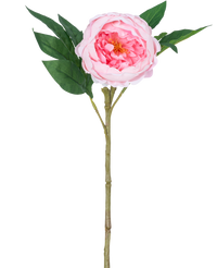 Pivoine artificielle Real Touch Pink 58cm