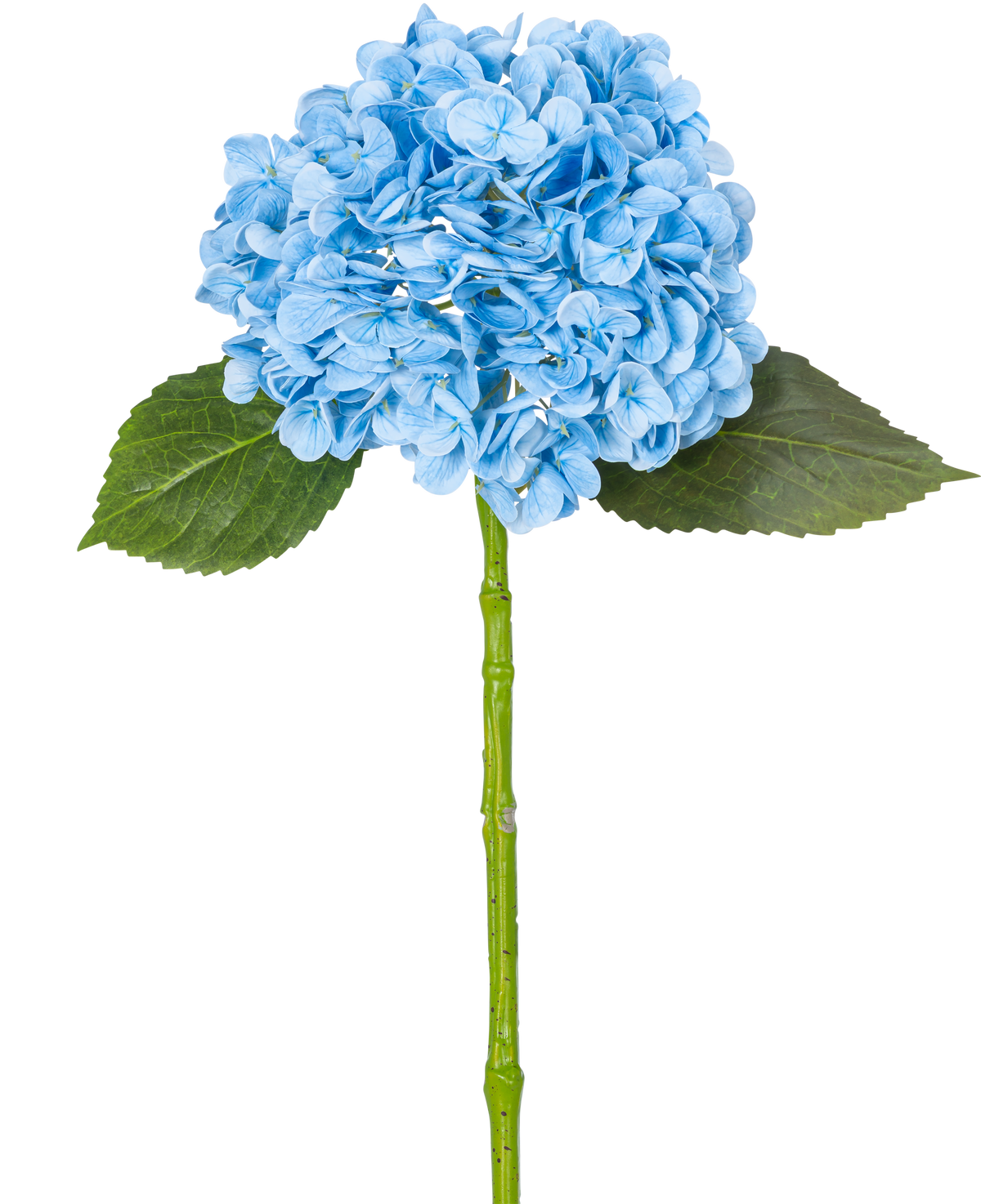 L'hortensia artificiel "Annabelle" Real Touch Bleu 55 cm possède un seul hortensia bleu avec des pétales, deux feuilles vertes et une longue tige, sur un fond blanc uni.