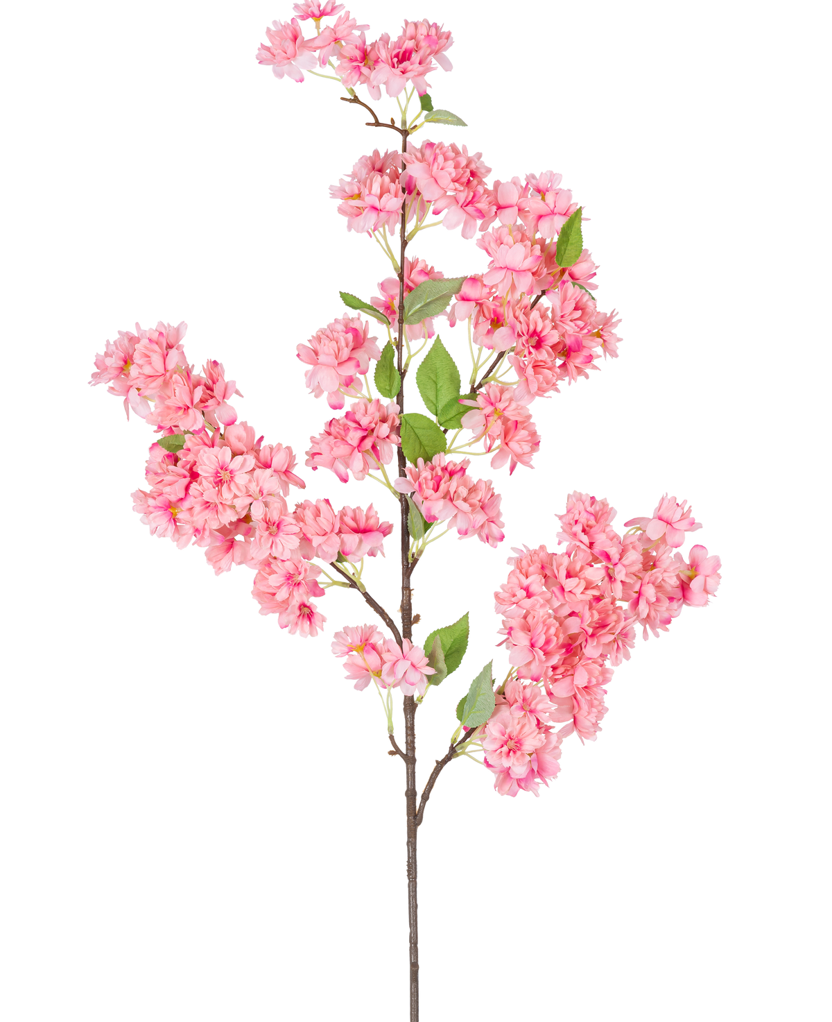 La Fleur de Cerisier Artificielle 100 cm rose est une seule branche de fleur de cerisier artificielle avec des bouquets de fleurs rose vif et des feuilles vertes, parfaites pour un usage décoratif.