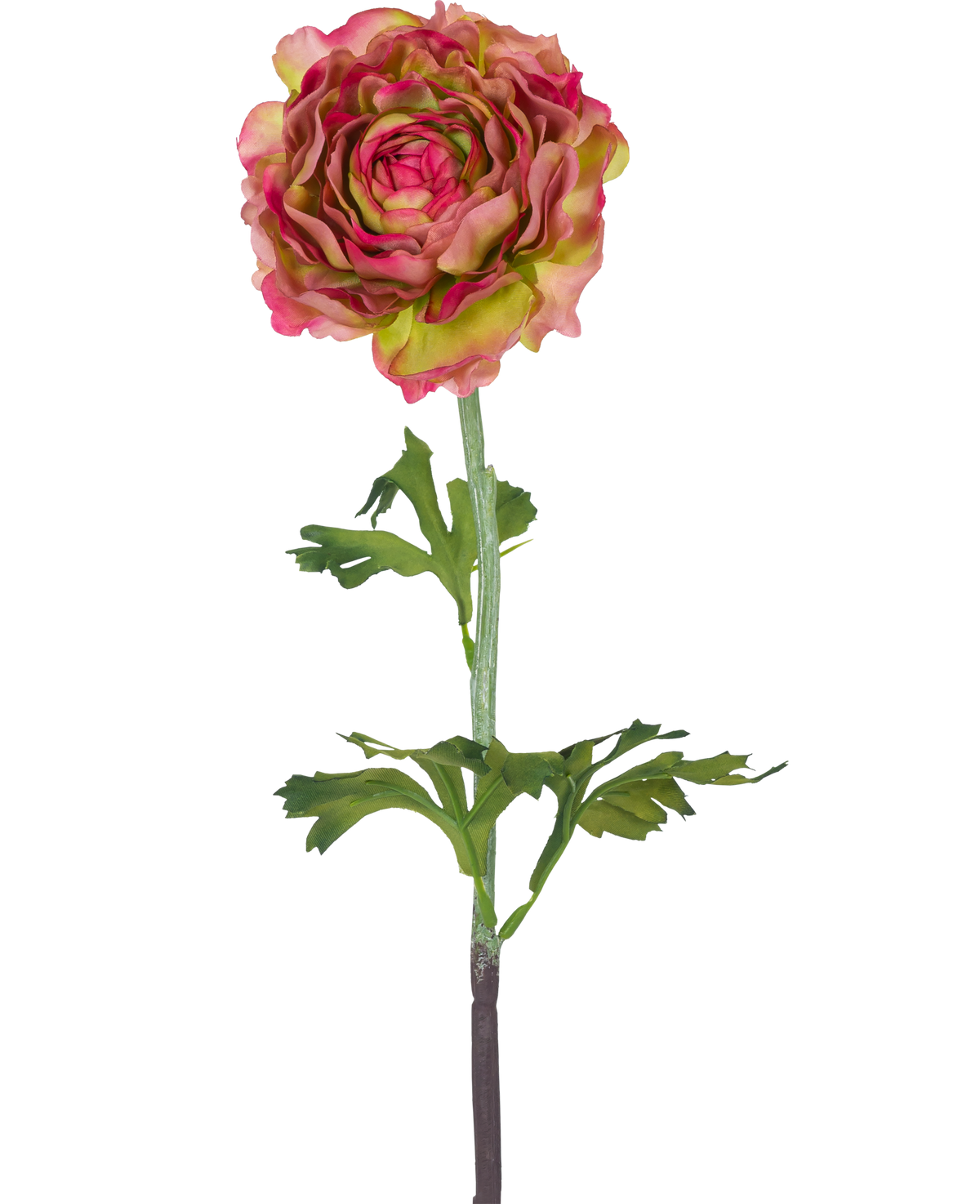 La Fleur Artificielle Renoncule 51 cm rose/vert est une renoncule artificielle simple avec des pétales roses et verts, des feuilles vertes et une longue tige, sur un fond blanc.
