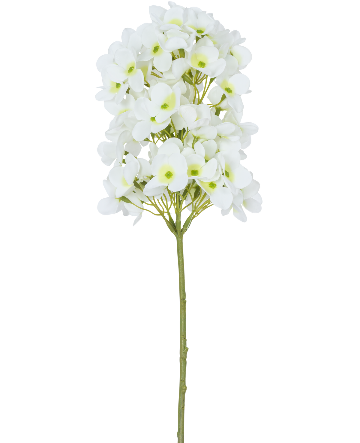 La Fleur Artificielle Boule de Neige Real Touch Blanc 58 cm possède une tige unique avec des bouquets de petites fleurs blanches et des cœurs vert clair, sur un fond blanc uni.
