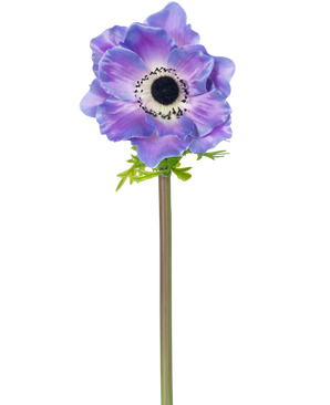 De Kunstbloem Anemone Deluxe 43 cm paars heeft een enkele paarse anemoon met een donker hart en delicate bloemblaadjes op een lange groene steel, geïsoleerd afgebeeld tegen een witte achtergrond.