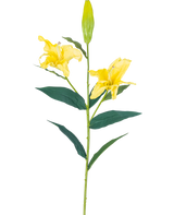 De Kunstbloem Lelie Real Touch Geel 95 cm heeft een enkele steel met twee open gele leliebloemen, een gesloten knop bovenaan en lange groene bladeren, allemaal tegen een effen witte achtergrond.